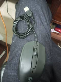 Mouse for Sale