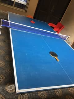 Table Tennis game