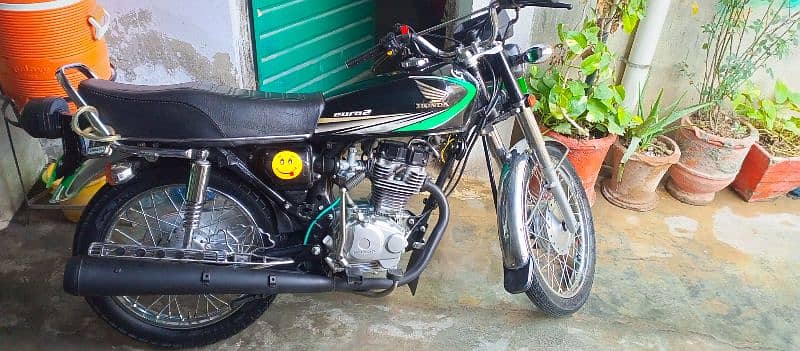 honda125 ( Golden Number)Totally jeniun 4