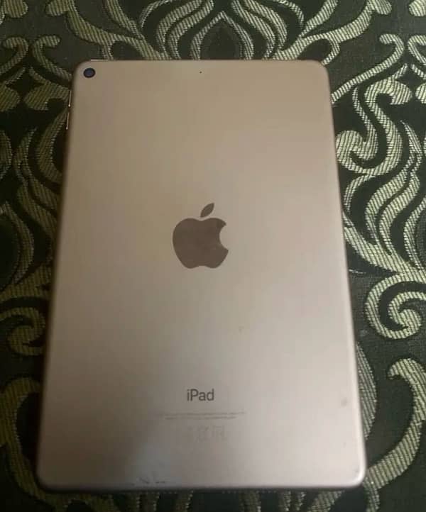 Ipad Mini 5 / 256 GB 1