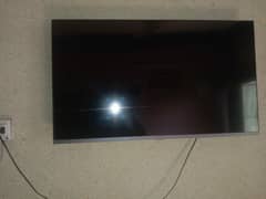 Haier andiod tv