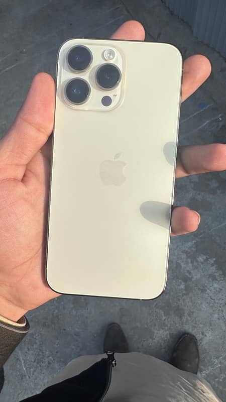 iPhone 14 Pro Max golden 1