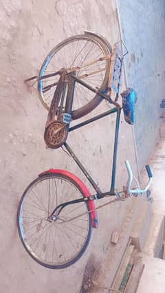 China Bicycle