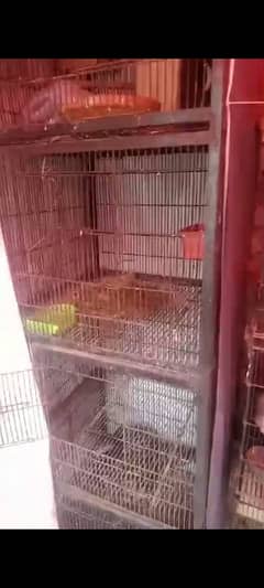 birds cage for sale