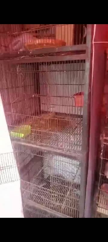 birds cage for sale 0