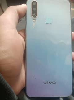 vivo