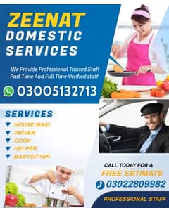 Provide Maids , Driver, Helper, Patient Care , Babysitter for 12 hours