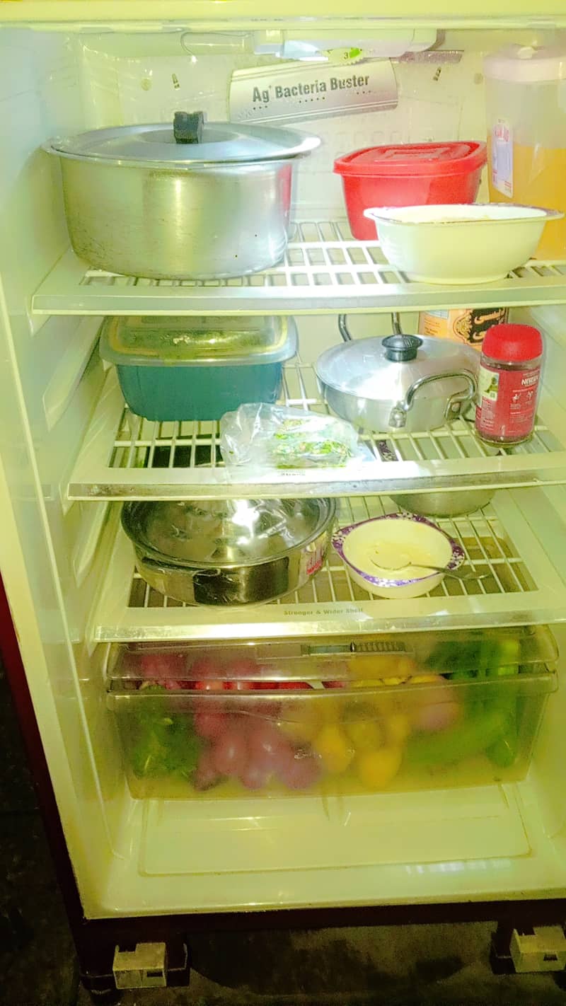 PEL FRIDGE . . . . . SIZE . . . . . MEDIUM . . . . Used only 4 years 2