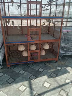 birds cage