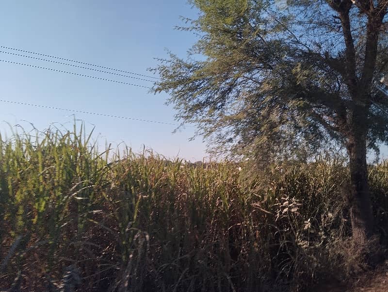 Agriculture  Cum  Residential Land For Sale. Area 2.5 Acre/20 Kanal. On Main Metal Road. Front 300ft. Nearby School, Mosque And Market. 19