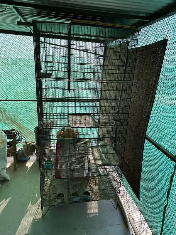 ONLY BIRDS CAGE 0