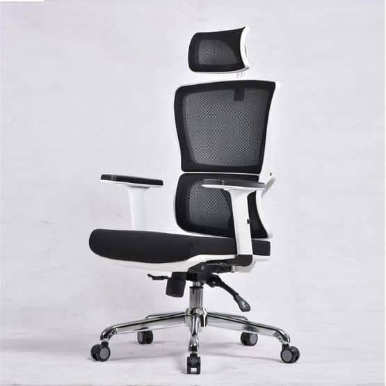 Premium Executive Office Chair,Ergonomic Executive Chair r, 10