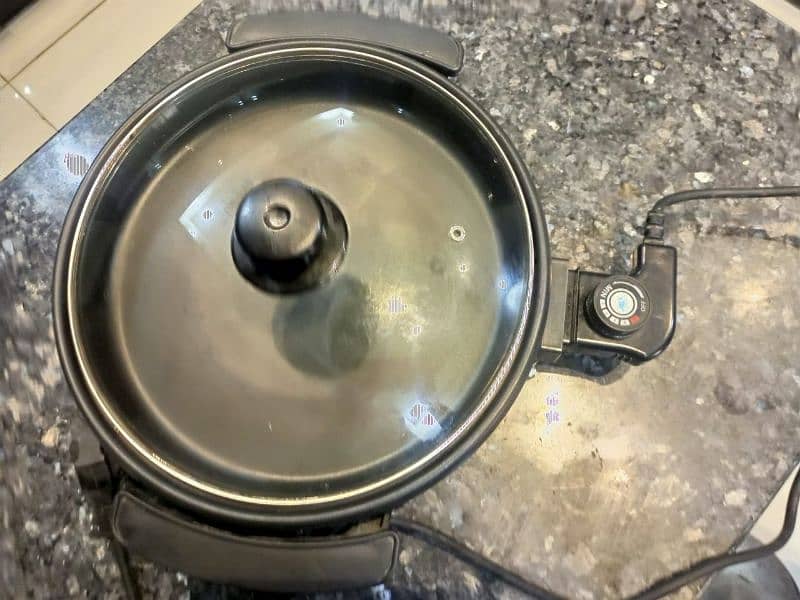 Multipurpose Electric Pan 2