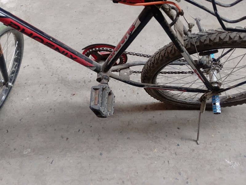 bicycle for sale 1