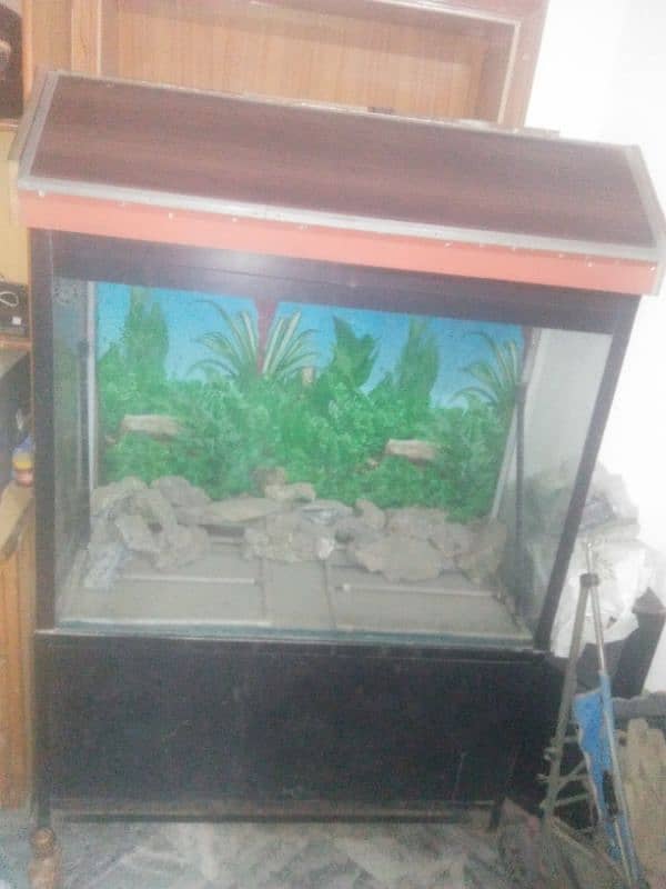 aquarium 0