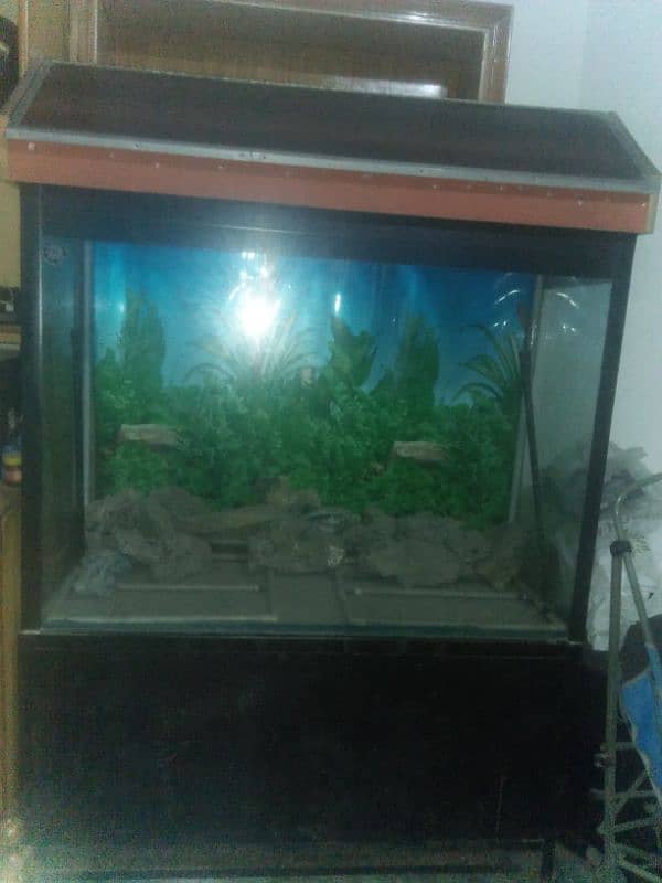 aquarium 3