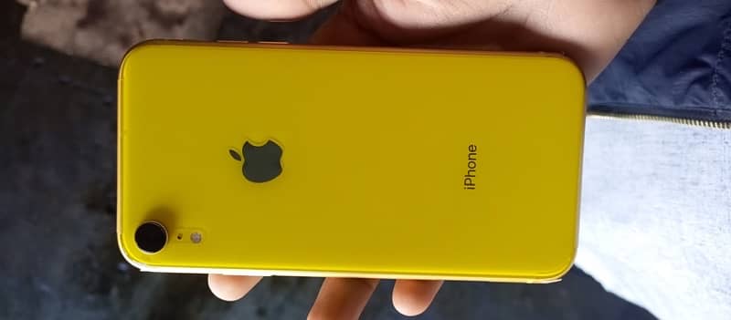 Iphone XR 10/10 condition 100 battery health with original Battery 5