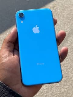 iPhone XR (Pta Approve 128 GB)