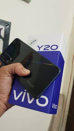 Vivo