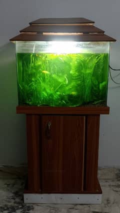 aquarium