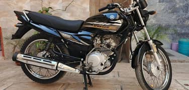 Yamaha z  03123646875