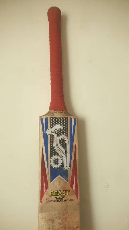 hard ball cricket bat 0