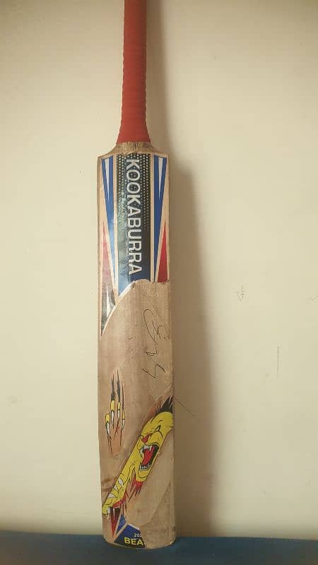 hard ball cricket bat 1