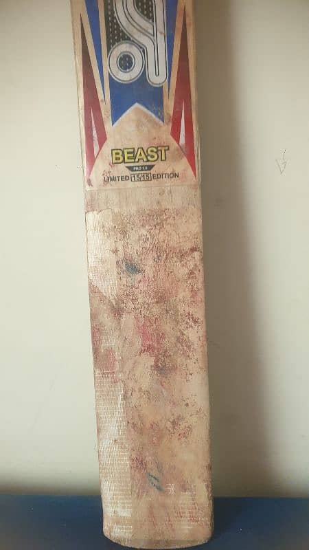 hard ball cricket bat 2