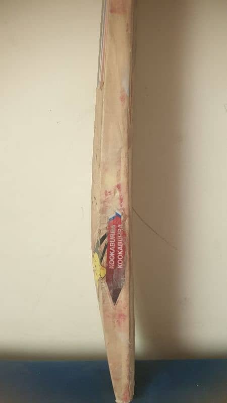 hard ball cricket bat 3