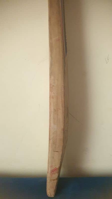 hard ball cricket bat 4