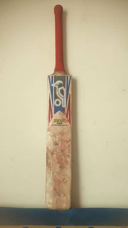 hard ball cricket bat 6