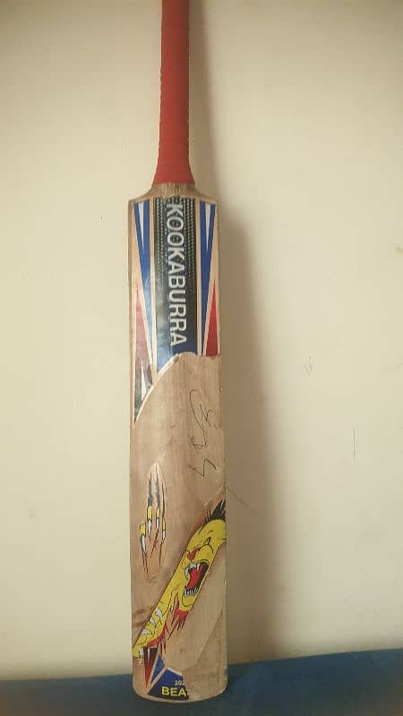 hard ball cricket bat 7