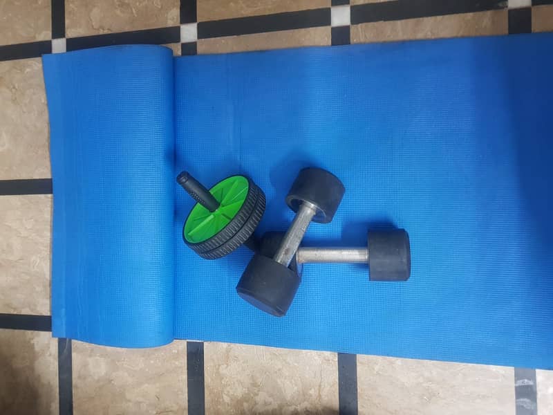 5kg Dumbbells (Pair), Wheel Roller, and Gym Fitness Mat Complete Home 2