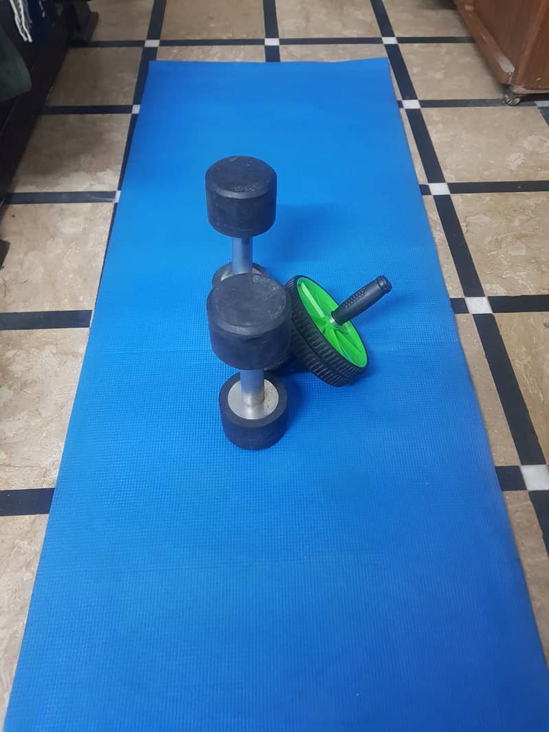 5kg Dumbbells (Pair), Wheel Roller, and Gym Fitness Mat Complete Home 4