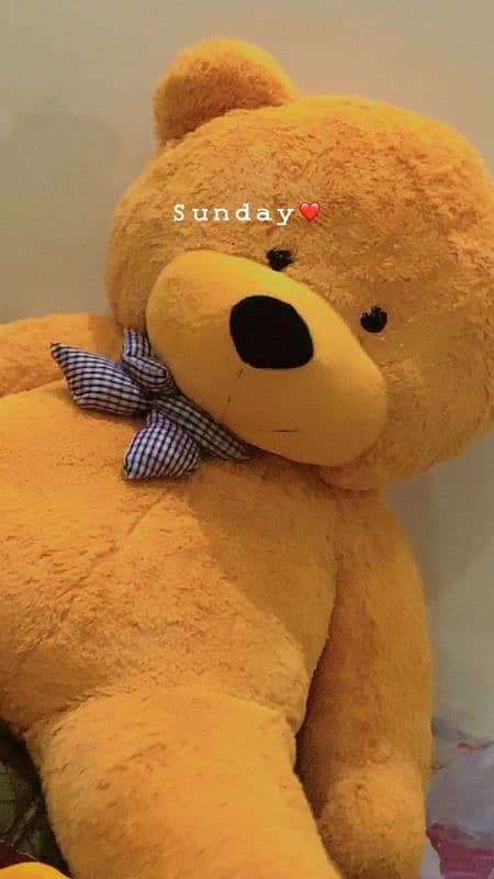 Big Size Giant Teddy bear for Valentine Day Gift, 03269413521 2