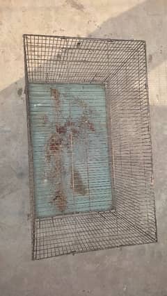 cage urgent sale 2.5 by 1.5