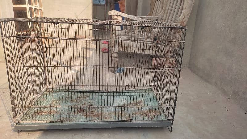 cage urgent sale 2.5 by 1.5 2