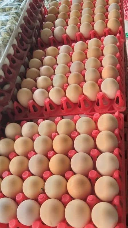 750 FOR 30 DESI EGGS 0