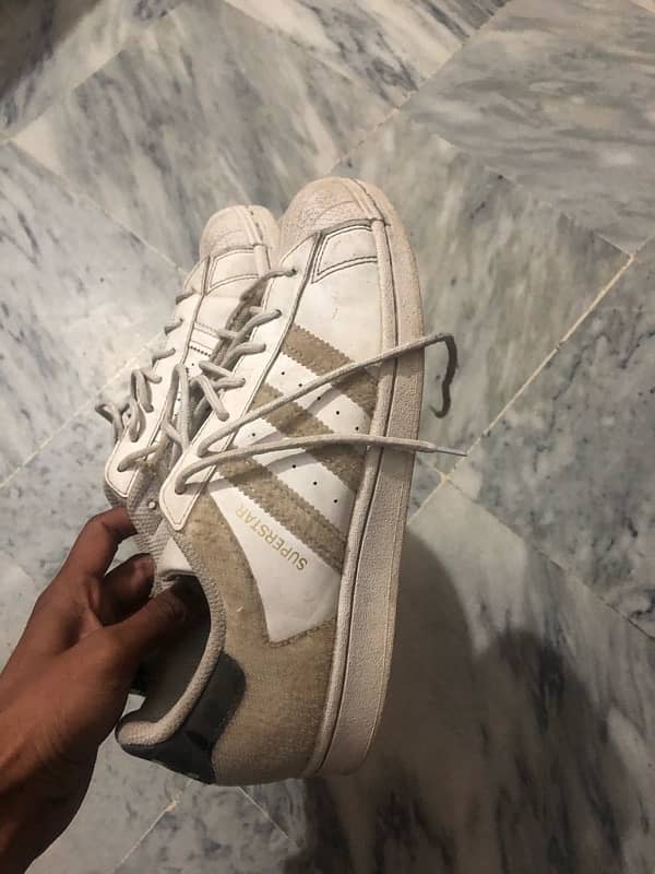 adidas and vans size 7 0