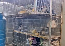 Large Parrot Cage – Used Condition