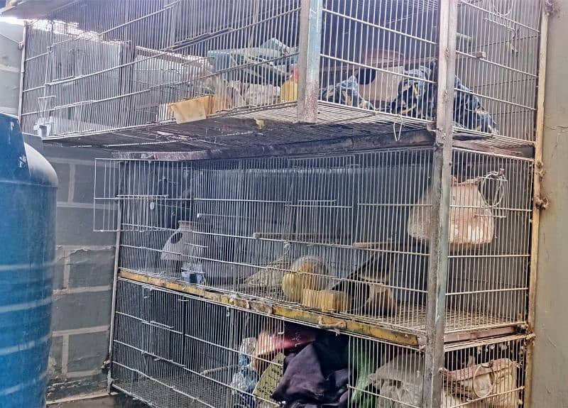 Large Parrot Cage – Used Condition 0