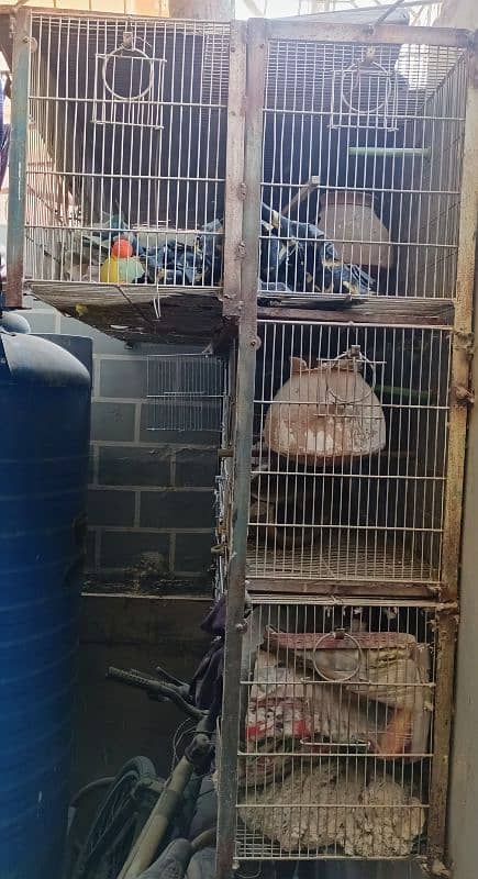 Large Parrot Cage – Used Condition 1