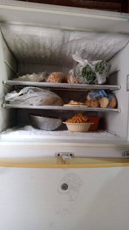 dalawnce refrigerator 2