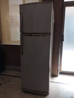 Waves Refrigerator / Fridge