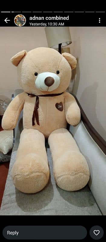 Gaint size teddy bears ( 03274983810 ) 13