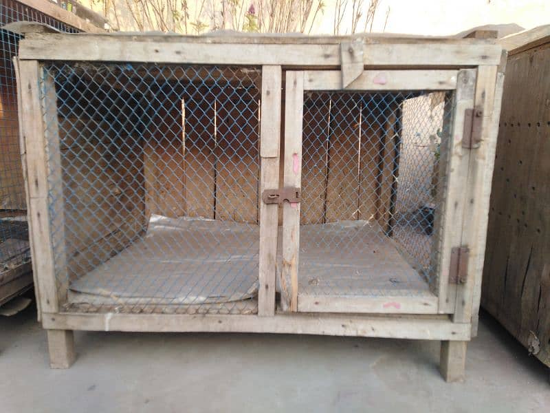 2 cage in good condition 1