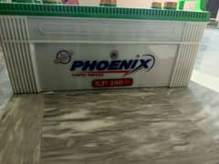 Phoenix 12v Battery