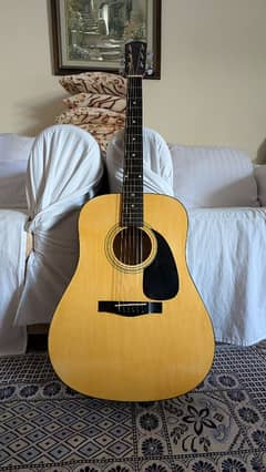 FENDER DG-5 NAT acoustic Guitar