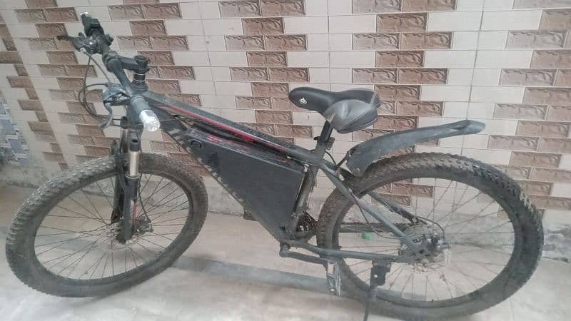 Electric Bicycle For Sale 3