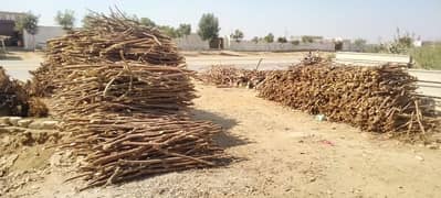 Kekir wood for sell